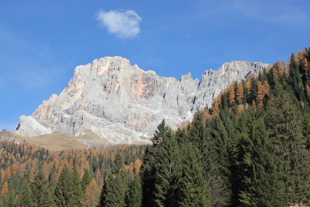 Casa Da Elda Apartman San Martino Di Castrozza Szoba fotó