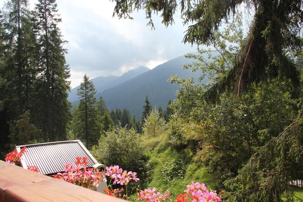 Casa Da Elda Apartman San Martino Di Castrozza Kültér fotó